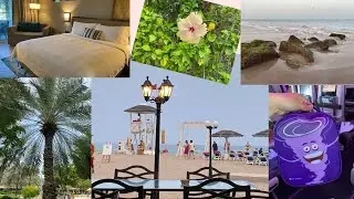 TRAVEL VLOG 2024 🛫 | PART II | FUJAIRAH ROTANA RESORT & SPA 5* HOTEL  🌴🐚☀️🌊| UAE 🇦🇪