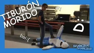 Sharkira! #1: TIBURÓN Y SU FAMILIA MORIDOS BIEN MUERTOS