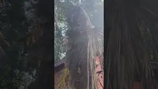 Спасали пальму! И спасли!!!🌴🔥💕