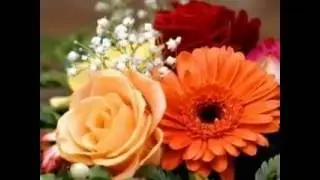 ДЛЯ ДУШИ