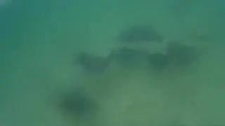 2016 0119 213856 001