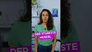 So STARK ist dein Kaumuskel 💪| DR. FLOJO #shorts #gesundheit #muskeln #fitness