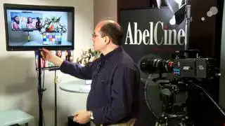 Evaluating the Canon 30-300 Cinema Zoom
