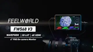 FEELWORLD FW568 V3 6