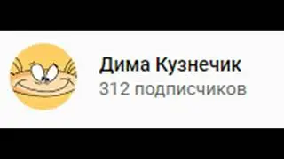 У меня 300 подписчиков