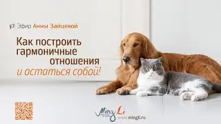 Гармоничные отношения и совместимость по Бацзы