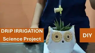 Drip Irrigation Working Model - Drip Irrigation System - DIY Science Project