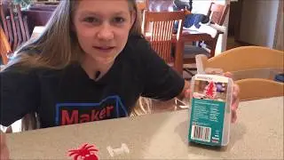PIMORONI Octo Cam