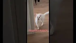 Оставайся на позитиве 😂