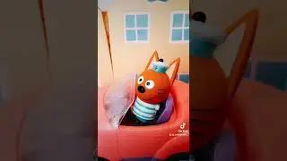 Три кота, равный обмен😂