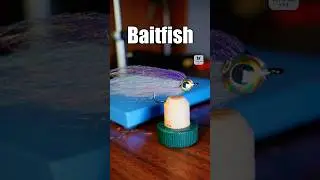 Baitfish Fly | Fly Tying Tutorial