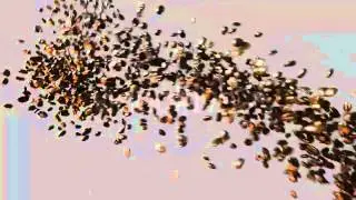 Royalty Free Diagonally Whirling Coffee Beans