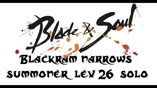 Blackram Narrows summoner lev 26 solo last boss.