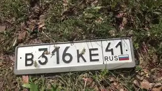 Охота на медведя часть 4 3 июня 2025