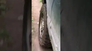 Лесная дорого Пермский край #automobile #carpfish #nature #fish #fishing #carp #freshwaterfish