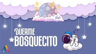 Duerme Bosquecito - Jose Luis Castro (Música Infantil)