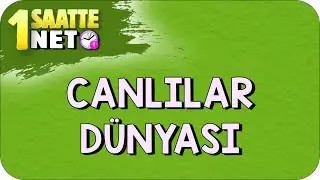 TYT Biyoloji Canlılar Dünyası Konu Anlatımı 