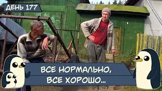 (День 177) Все нормально, все хорошо...