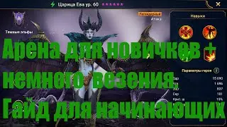 Арена в Raid. Гайд для начинающих. Обзор аккаунта. Raid Shadow Legends