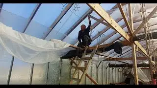 We are preparing the greenhouse for the arrival of tulips.