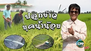 CPP Talk On Tour EP.3 : ปลูกข้าวยุคน้ำน้อย