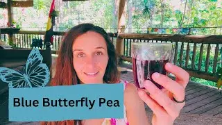 Blue Butterfly Pea Flower Tea | Uses and Benefits