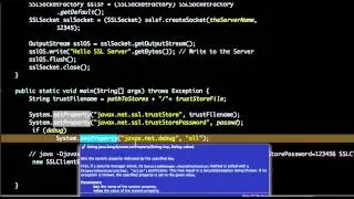 ssl client example in java
