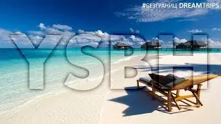 Маркетинг на миллион долларов DreamTrips Лиана Макарова