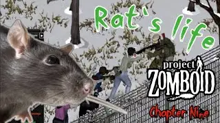 Rat's life - Chapter Nine | [Project Zomboid]