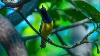 POV Nature Photography : With a Rookie