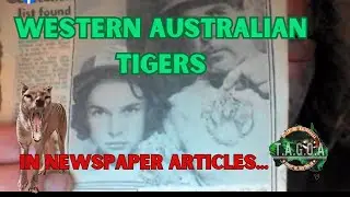 Western Australian Tigers/Thylacine's in newspaper articles.