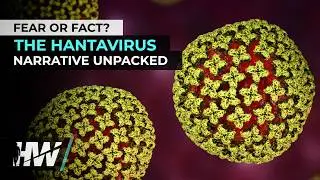 Fear or Fact: The Hantavirus Narrative Unpacked | The HighWire Episode 475