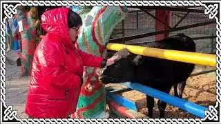 Ейск🌹Новороссийск. Едем за город. Перевернутый дом. Весёлая ферма.