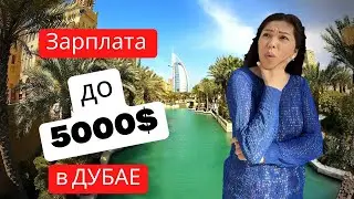 Jobs in Dubai / Top 10 Jobs Paying Up to $5,000