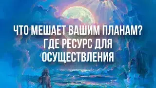 Общий расклад - что мешает вашим планам?