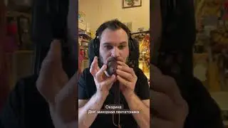 Ролик взорвавший мой TikTok Окарина. До#, минорная пентатоника