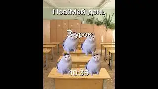 Мой день в реальной жизни 
