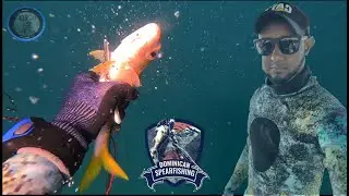 Jornada de pescasub 2025 de SALMONETES - BOCAYATE - COJINUA en salinas BANI RD