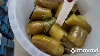 остатки урожая томатов,перцев..