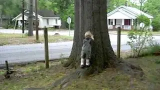 Sebastian Thomas Hamilton - First attempt at climbing a tree