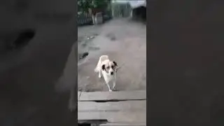 СУДЕБНЫЕ ПРИСТАВЫ ПЫТАЛИСЬ «УГНАТЬ» АВТО, НО ТАК У НИХ НИЧЕГО И НЕ ВЫШЛО…))) СПАСЕНИЕ АВТО ОТ ФССП.