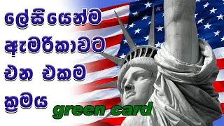 Diversity Visa 2023 /US green card USA 