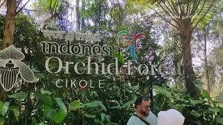 Orchid Forest Cikole Bandung - Indonesia