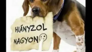 Hiányzol a Tubusról :-)