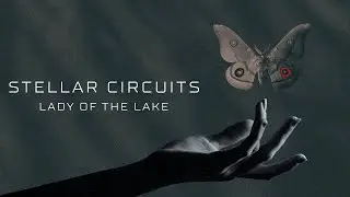 STELLAR CIRCUITS - Lady of The Lake (OFFICIAL TRACK VISUALIZER)