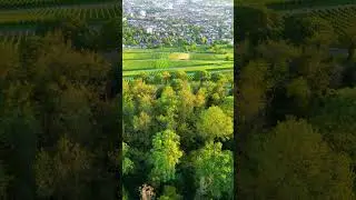 Dji mini 3 pro cinematic 4k. Beautiful day