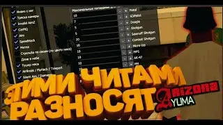 ТОП ПРИВАТНЫХ ЧИТОВ ( СКРИПТОВ ) ДЛЯ ARIZONA RP 2024 / hack на аризона самп СБОРКА САМЫХ ЛУЧШИХ ЧИТ