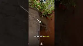 Insane Banana Retake Molotov
