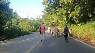 Así es la Costa Chica de Guerrero
