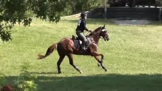 Maija Liisa Luttinger & The Dread Pirate Roberts Fox River Valley Horse Trials 2016